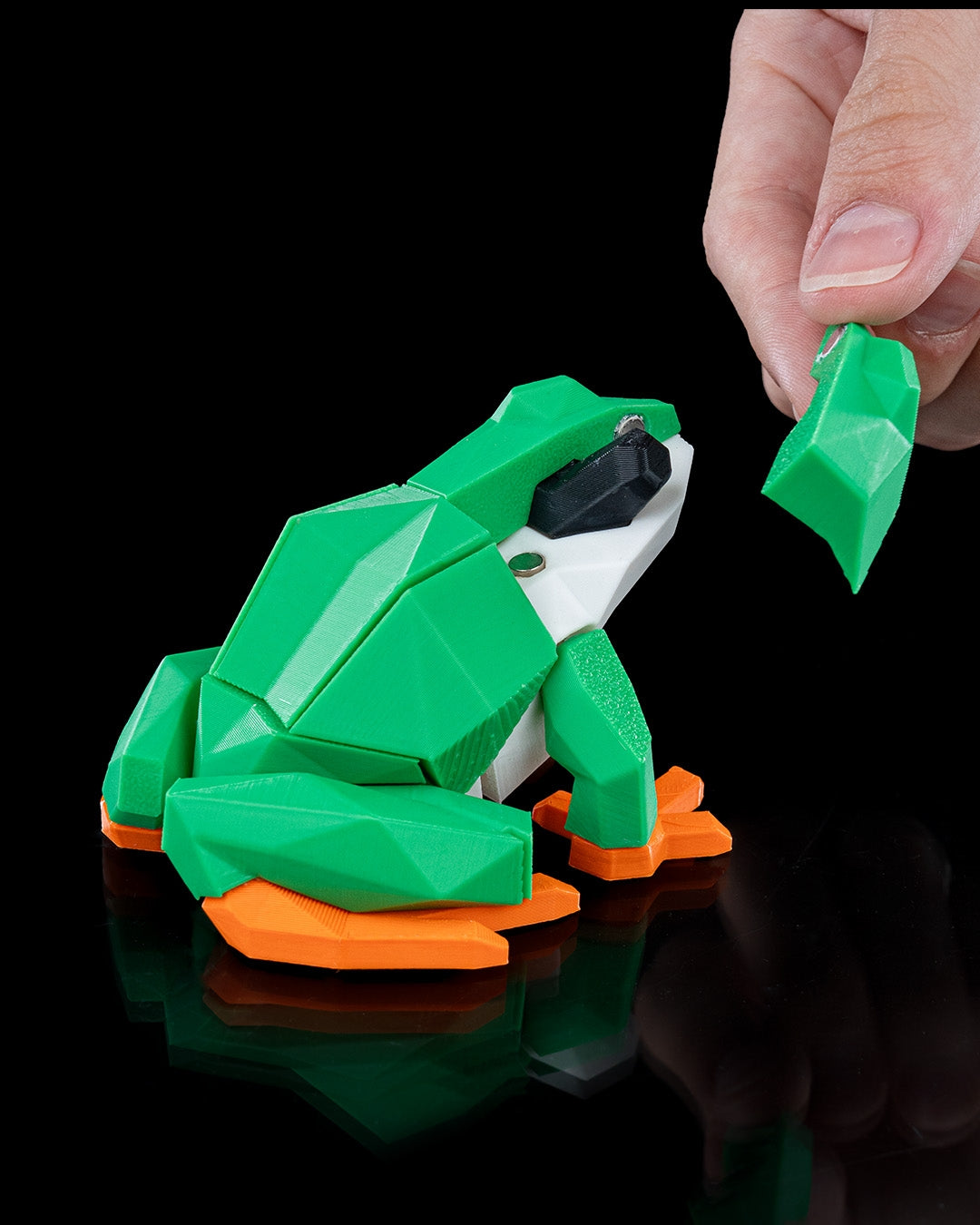 Frog Magnetic Puzzle - THE FLAPJACK3D STORE