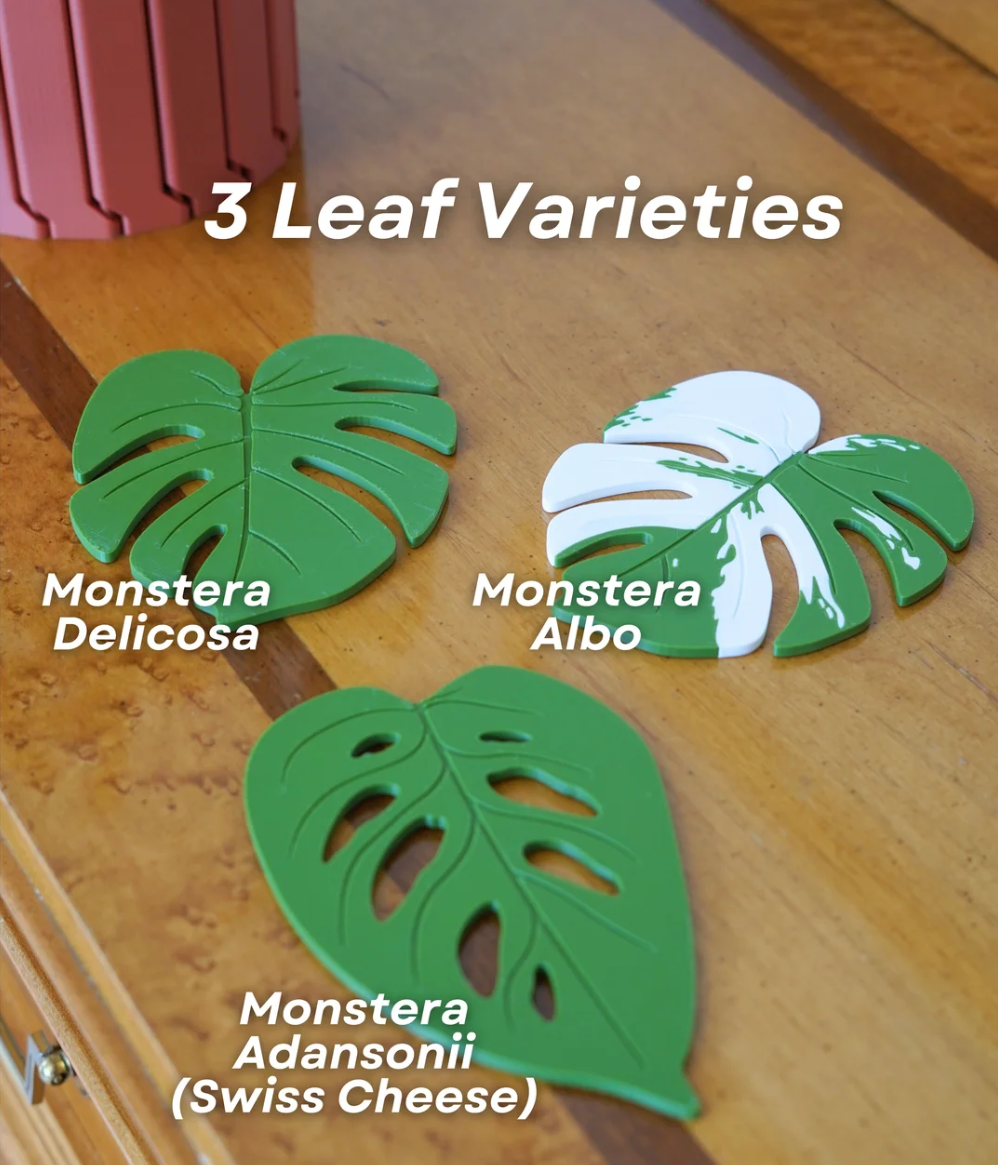 Monstera Coaster Set V2 - THE FLAPJACK3D STORE