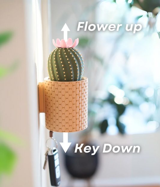 Cacti Key Holder - THE FLAPJACK3D STORE