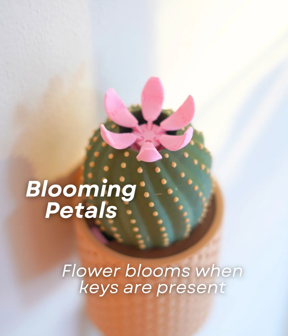 Cacti Key Holder - THE FLAPJACK3D STORE