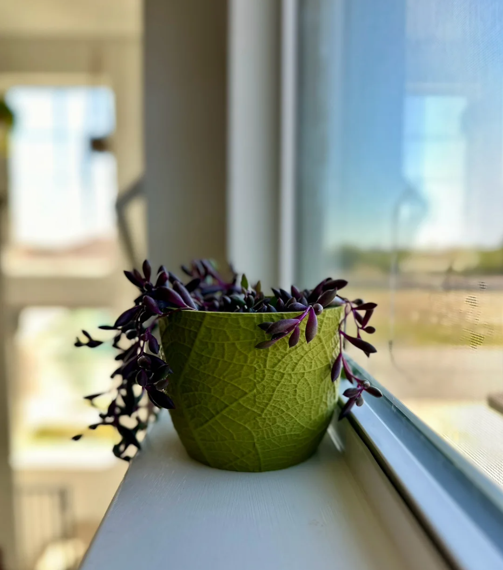 Leaf Texture Planter - THE FLAPJACK3D STORE