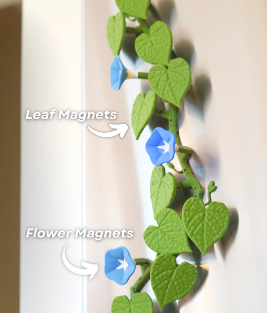 Morning Glory Fridge Magnet - THE FLAPJACK3D STORE