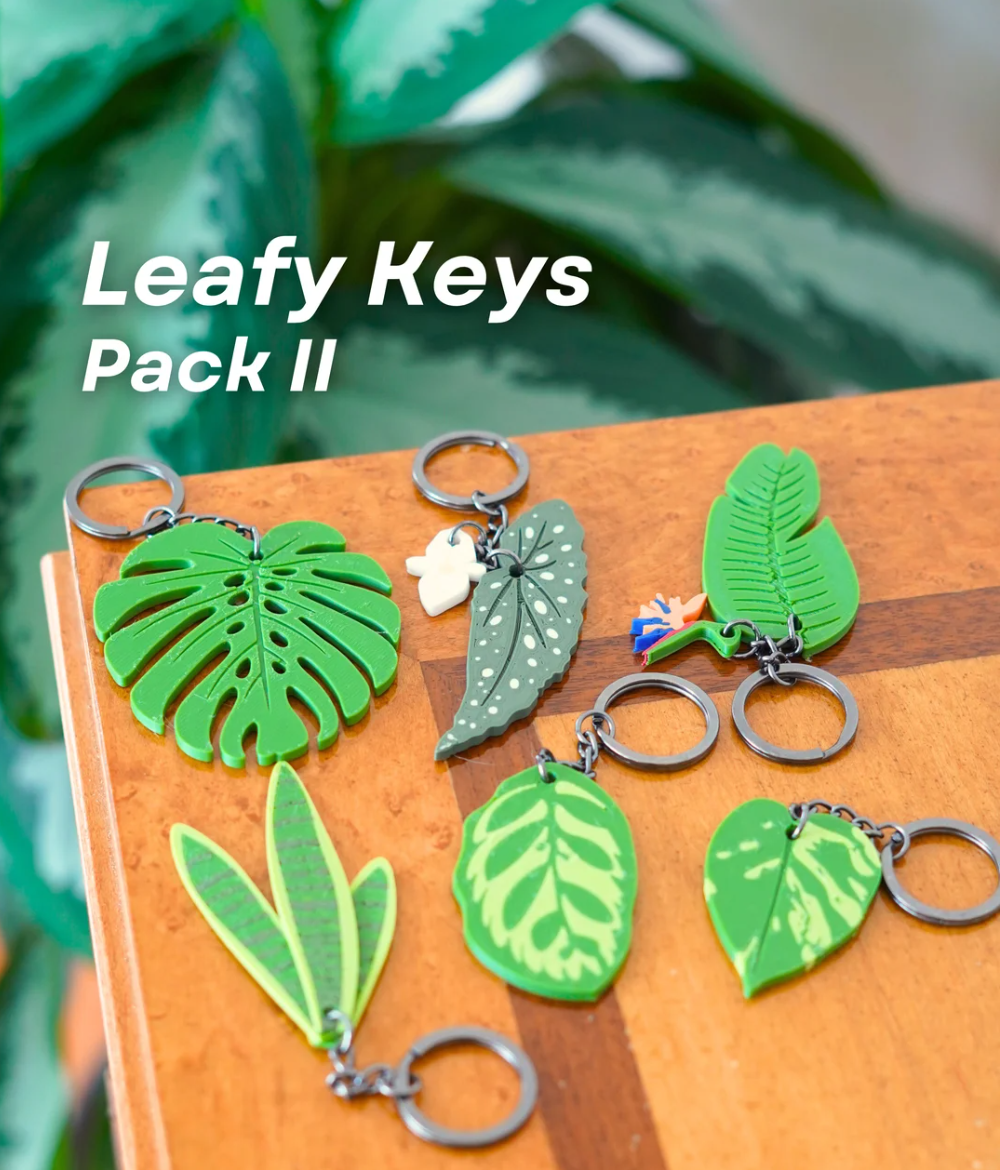 Keychains - THE FLAPJACK3D STORE