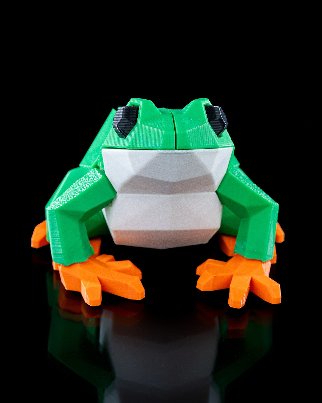 Frog Magnetic Puzzle - THE FLAPJACK3D STORE