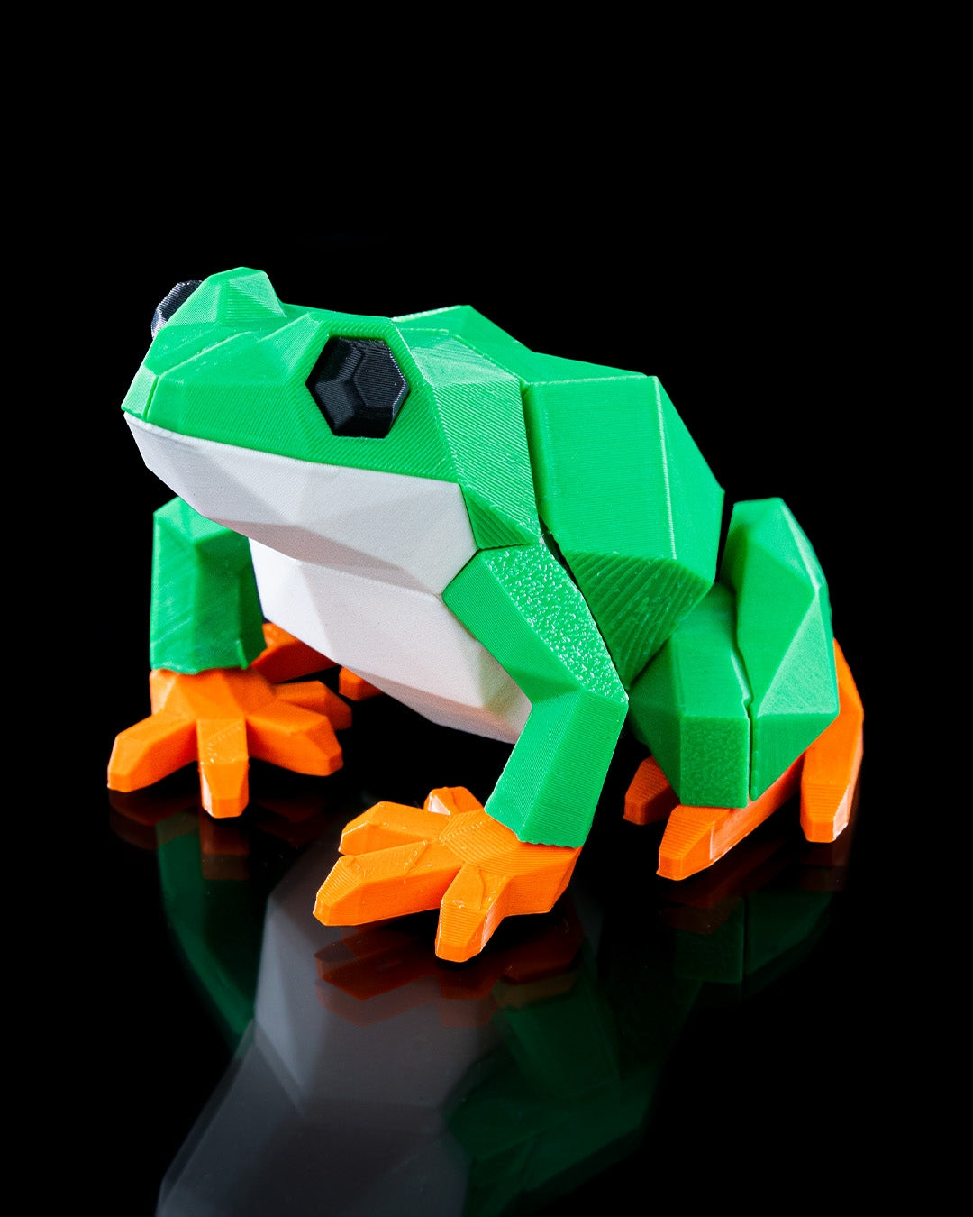 Frog Magnetic Puzzle - THE FLAPJACK3D STORE