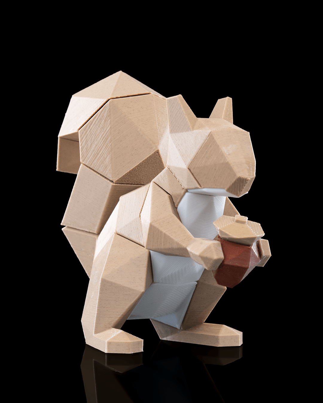 Squirrel Magnetic Puzzle - THE FLAPJACK3D STORE