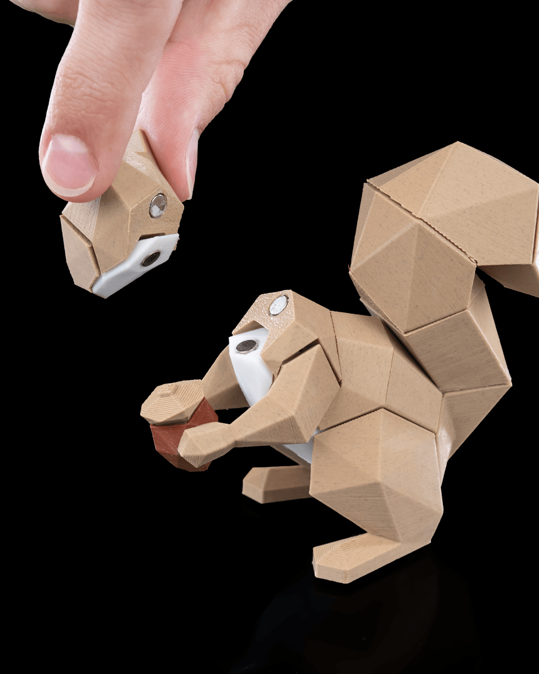 Squirrel Magnetic Puzzle - THE FLAPJACK3D STORE