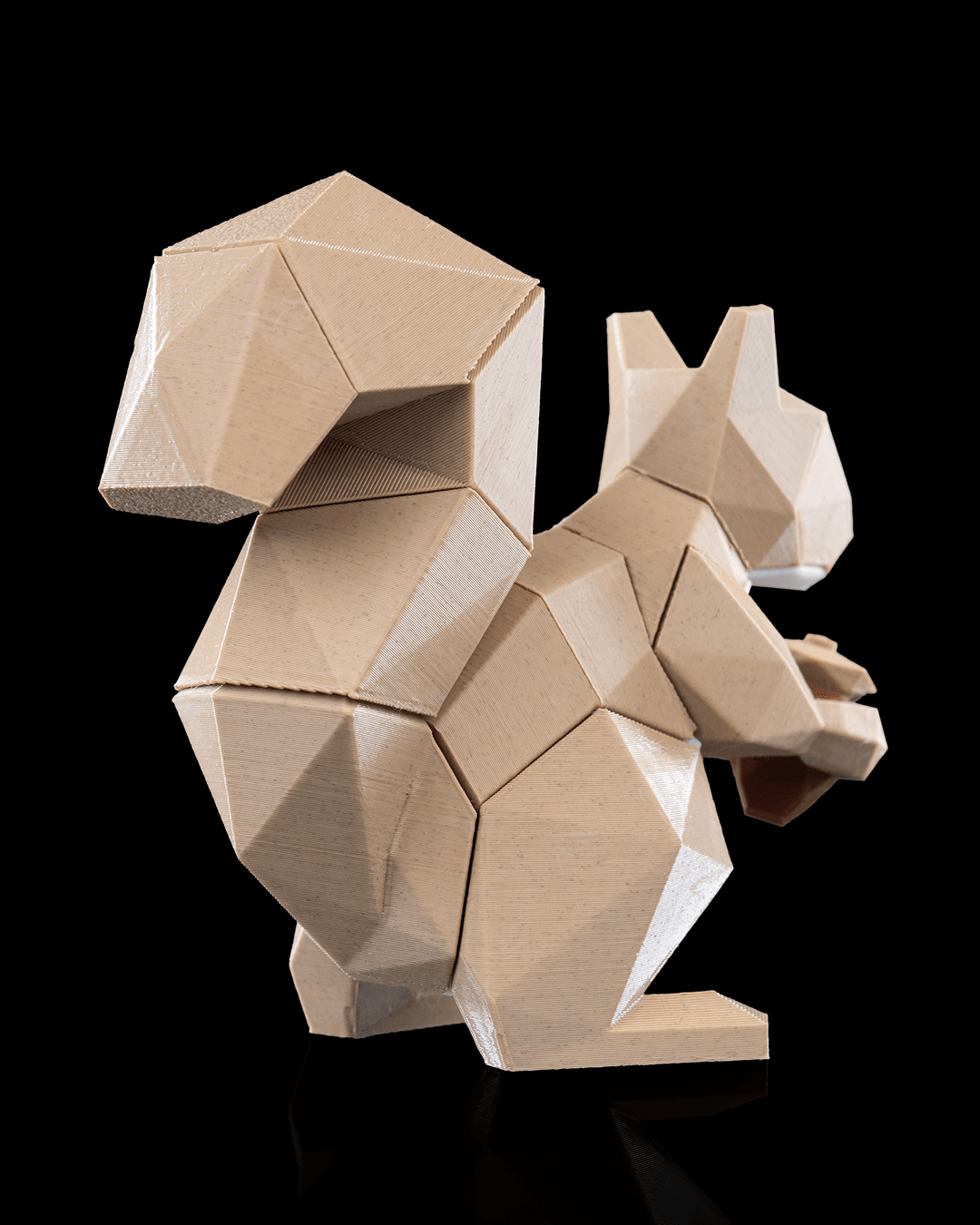 Squirrel Magnetic Puzzle - THE FLAPJACK3D STORE