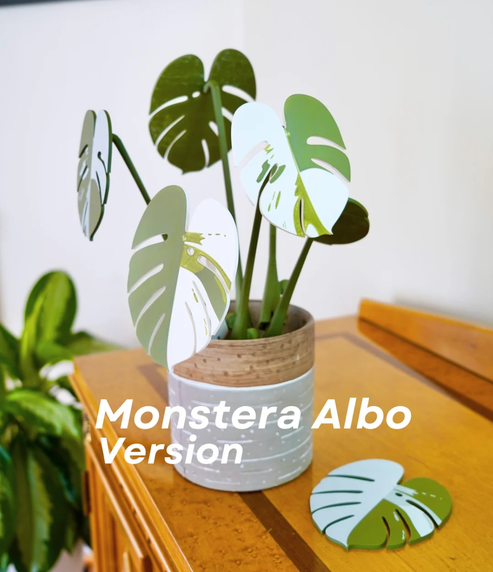 Monstera Coasters - THE FLAPJACK3D STORE