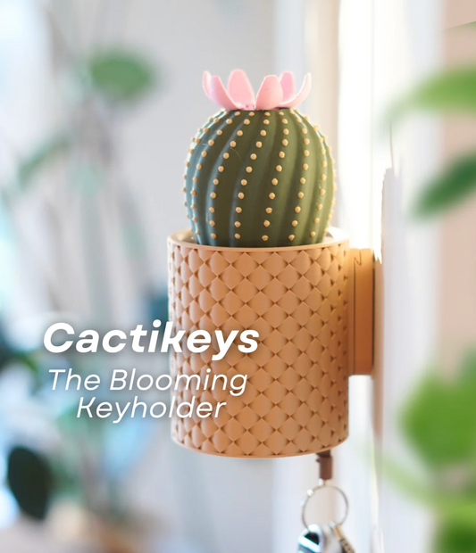 Cacti Key Holder - THE FLAPJACK3D STORE