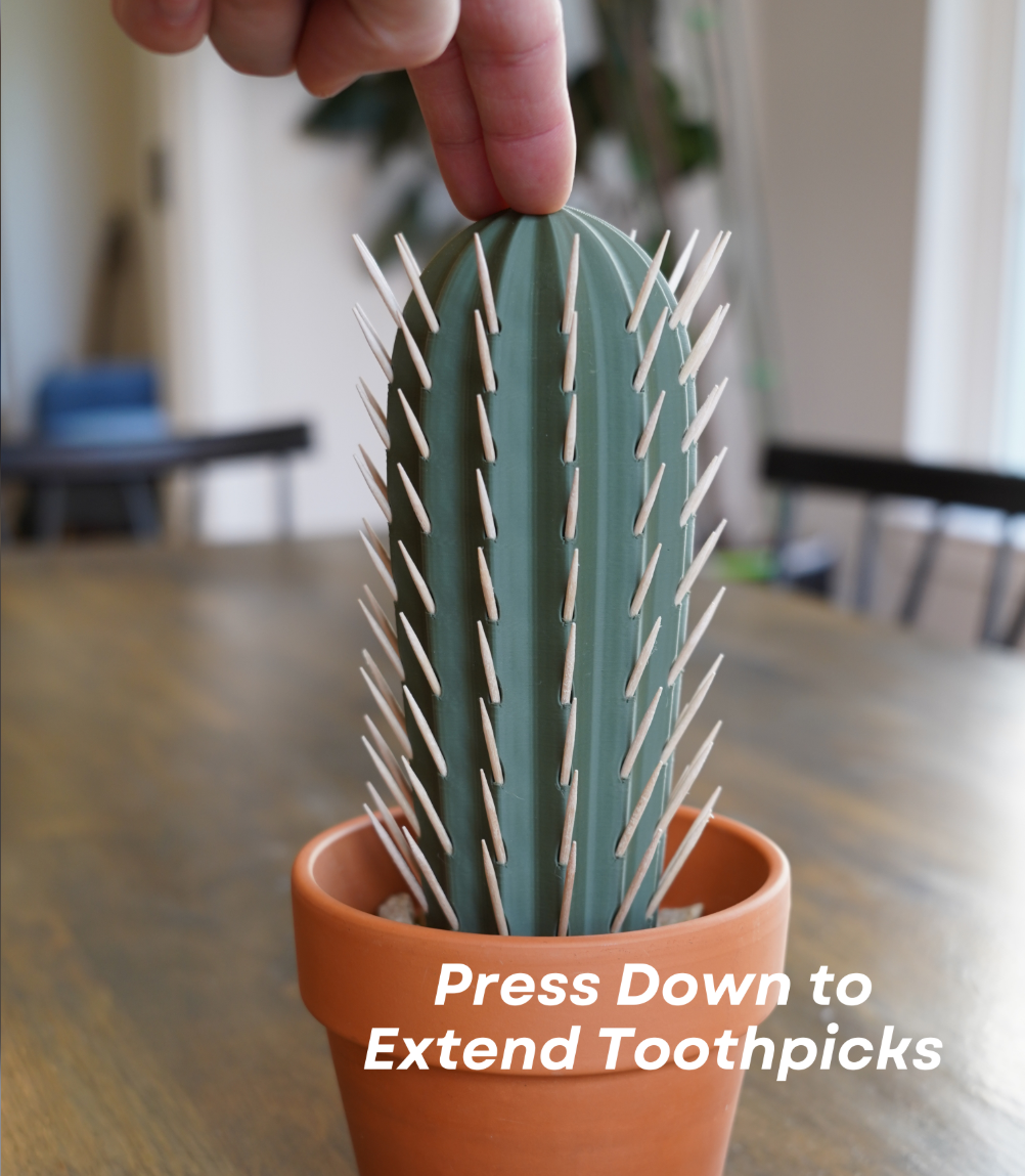 Cactus Toothpick Holder - THE FLAPJACK3D STORE