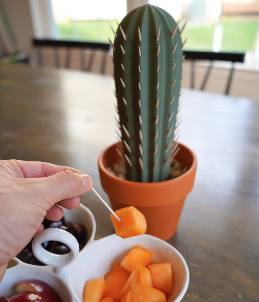 Cactus Toothpick Holder - THE FLAPJACK3D STORE