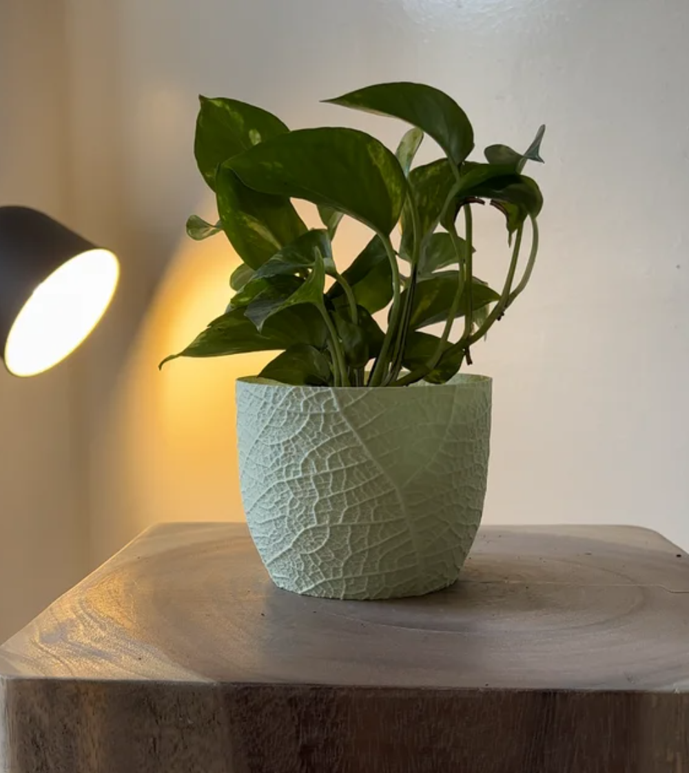Leaf Texture Planter - THE FLAPJACK3D STORE