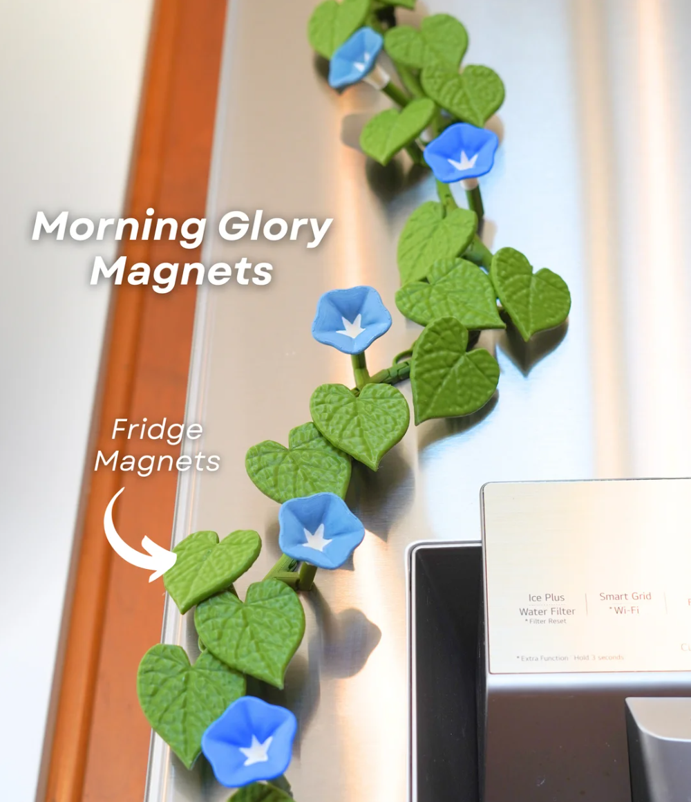 Morning Glory Fridge Magnet - THE FLAPJACK3D STORE