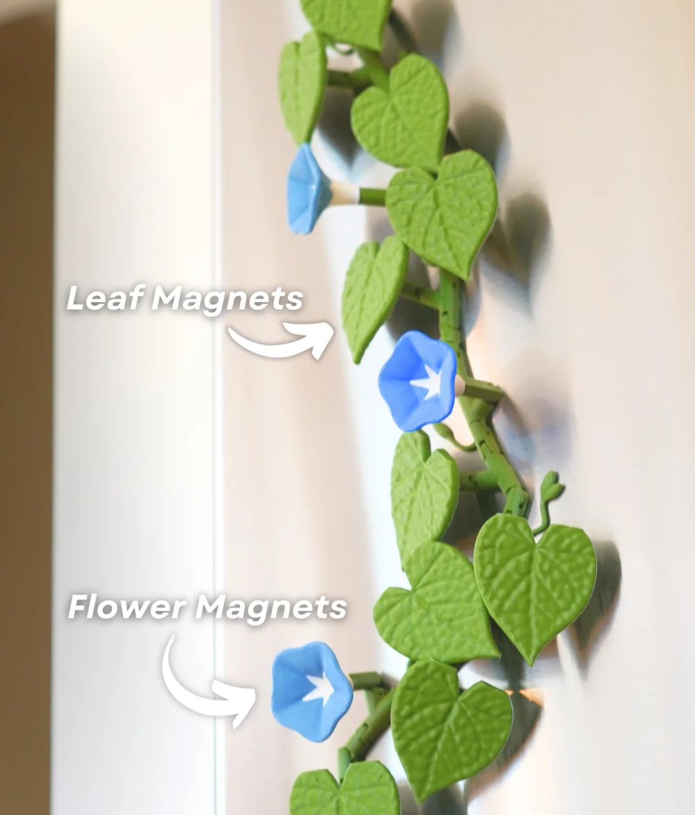 Morning Glory Fridge Magnet - THE FLAPJACK3D STORE