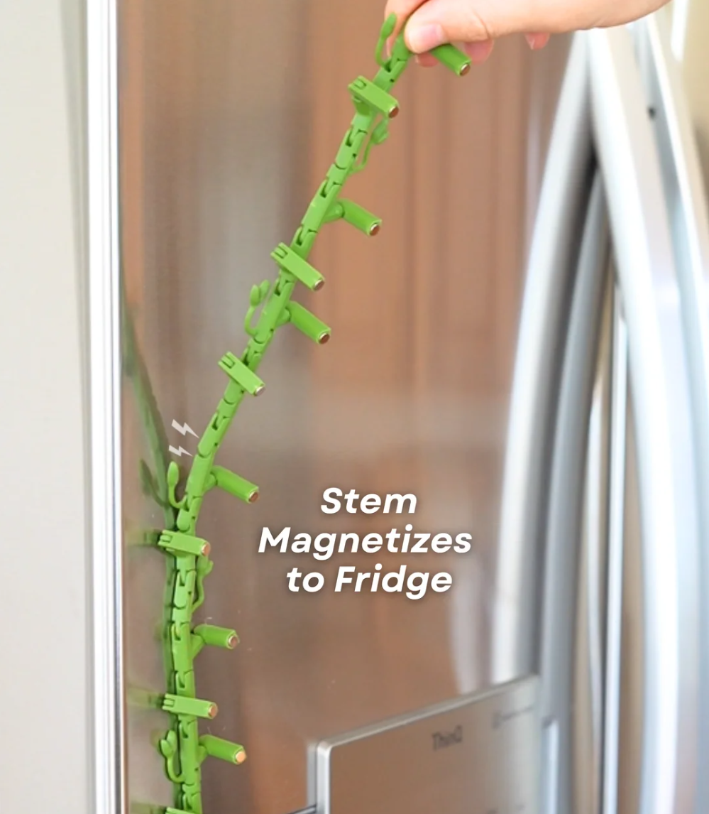 Morning Glory Fridge Magnet - THE FLAPJACK3D STORE