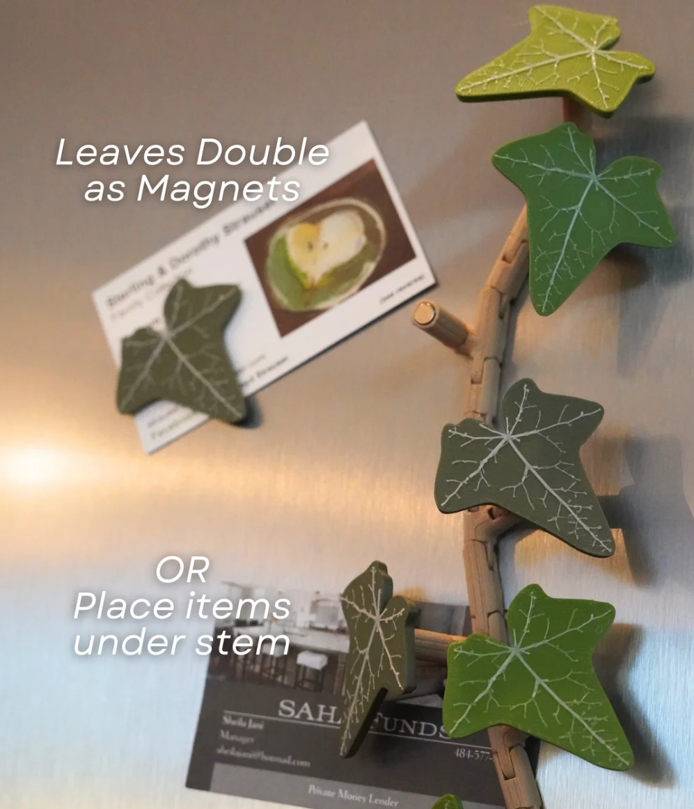 English Ivy Fridge Magnet - THE FLAPJACK3D STORE