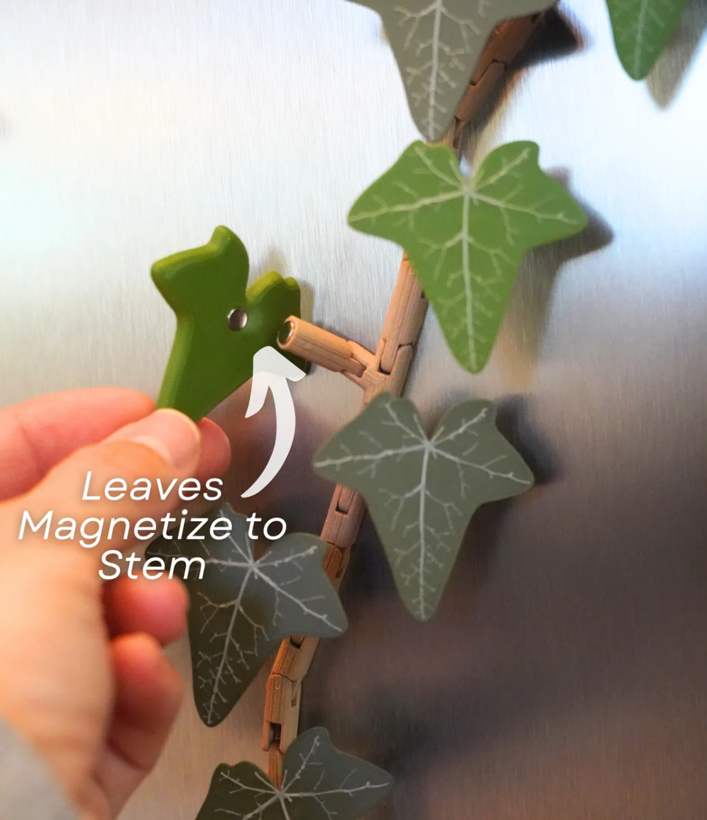 English Ivy Fridge Magnet - THE FLAPJACK3D STORE