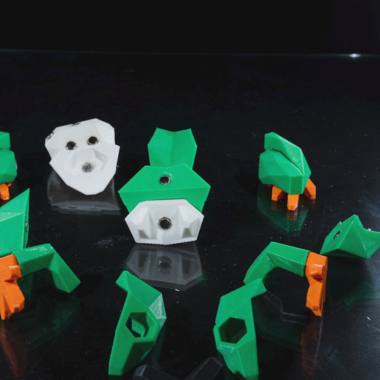 3D Printed Frog Puzzle