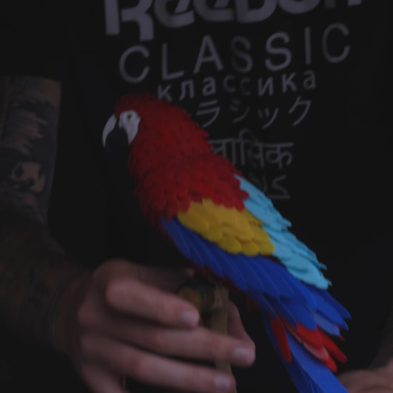 3D printed Macaw feather puzzle