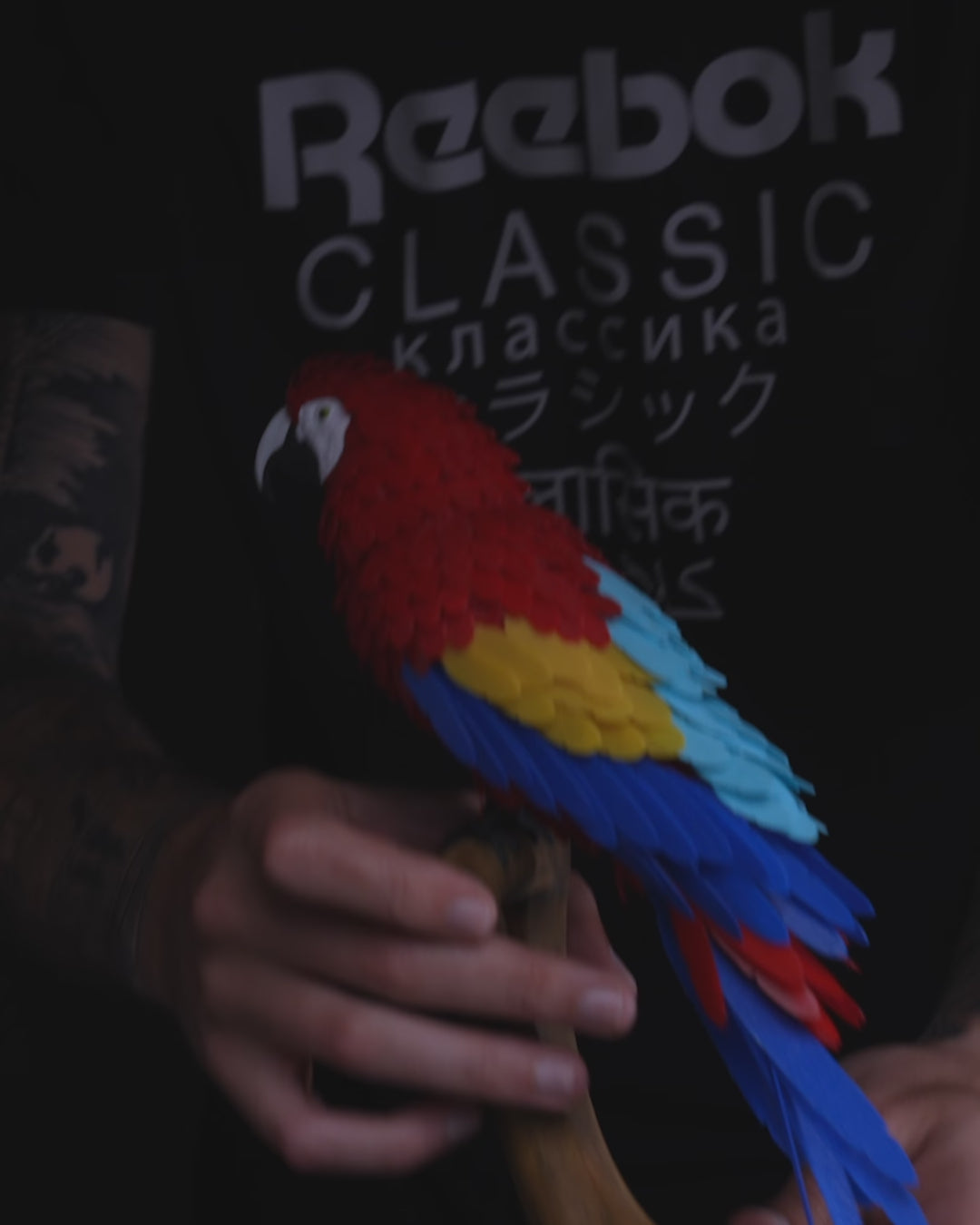 3D printed Macaw feather puzzle